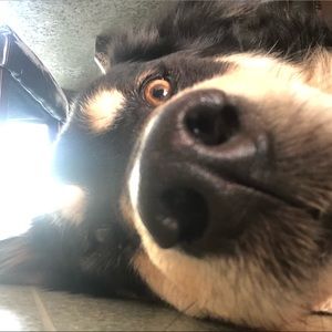 Meet your Posher, Vincent